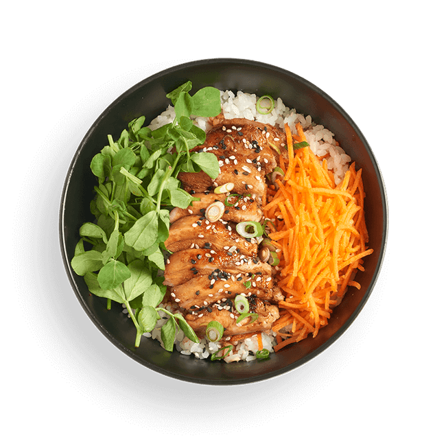 Chicken Thigh Teriyaki Donburi